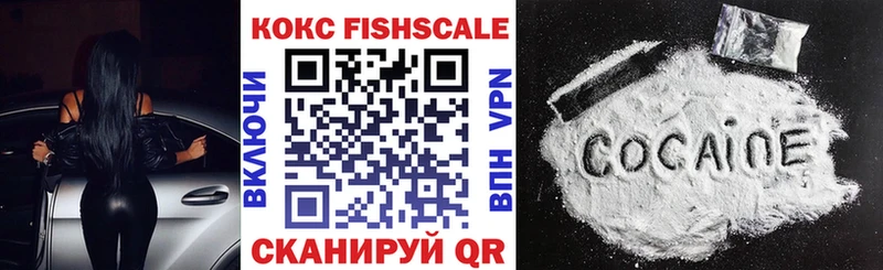 Cocaine Fish Scale  OMG вход  Барыш 