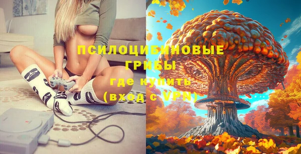apvp Баксан